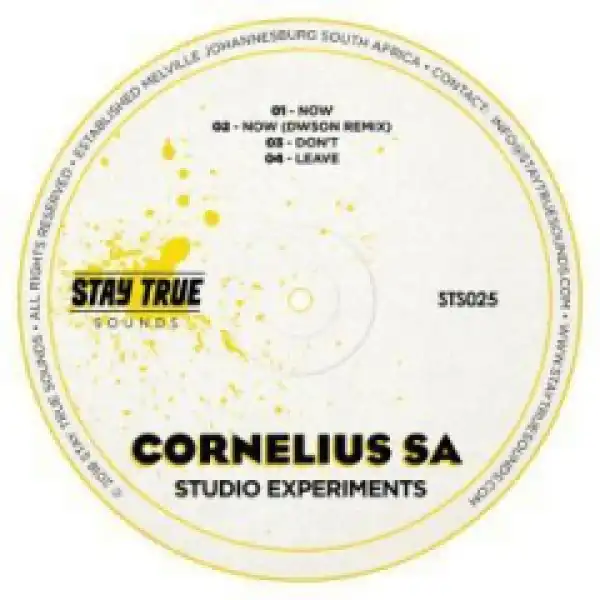 Dwson - Lucy (Cornelius SA Remix)